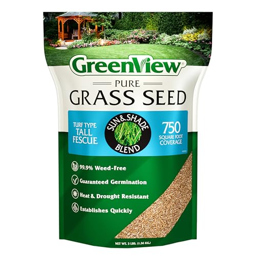 Best Grass for Central Florida