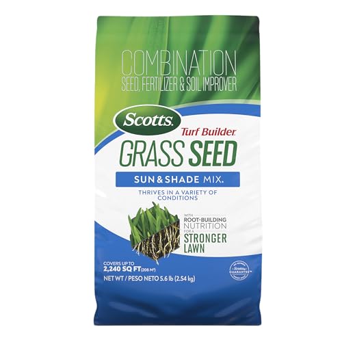 Best Grass for Michigan