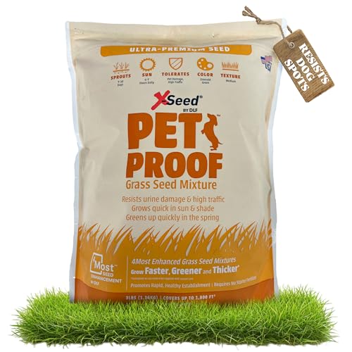 Best Grass for Nc Piedmont