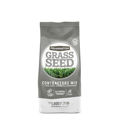 Best Grass for Raleigh Nc