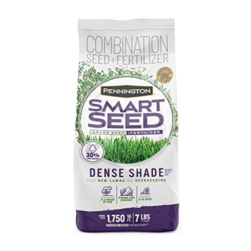 Best Grass for Shade in Tennessee