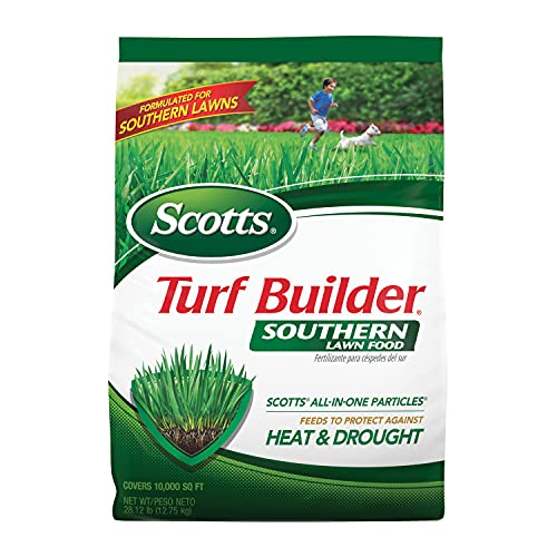 Best Grass for Southern California And Dogs
