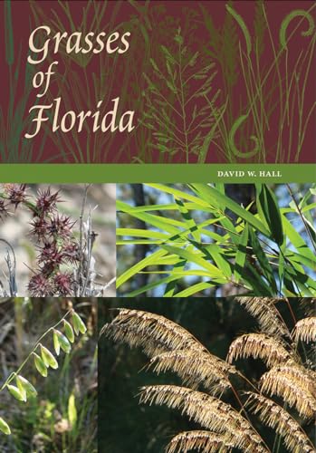 Best Grass for Tampa Florida