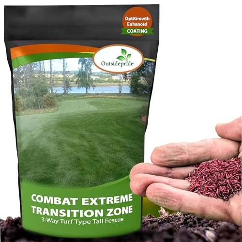 Best Grass for Transition Zone