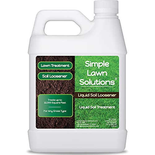 Best Grass for Wet Clay Soil