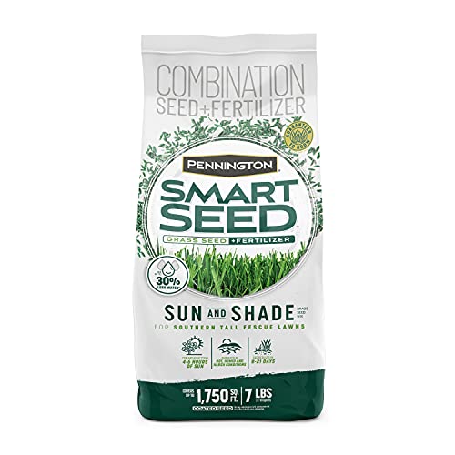 Best Grass in Southern California
