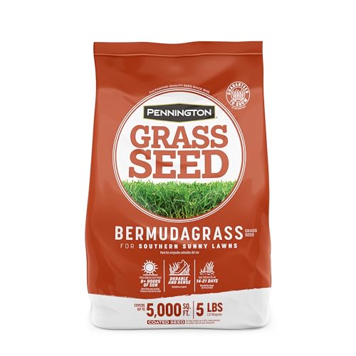 Best Grass Seed for Central Florida Lawns