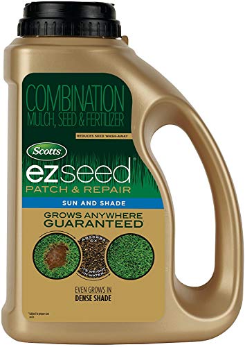 Best Grass Seed for Charleston Sc