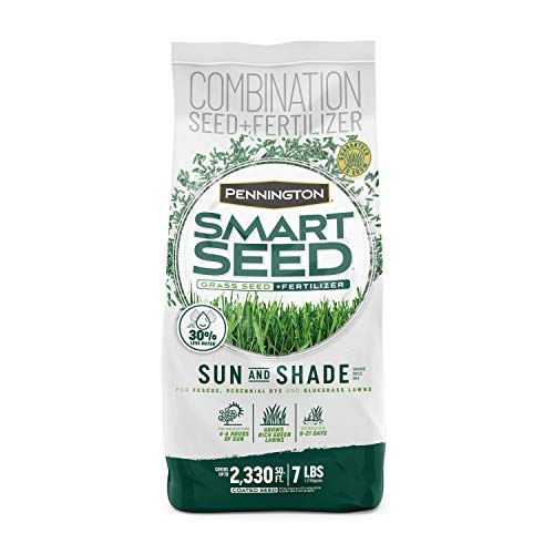 Best Grass Seed for Coastal Nc