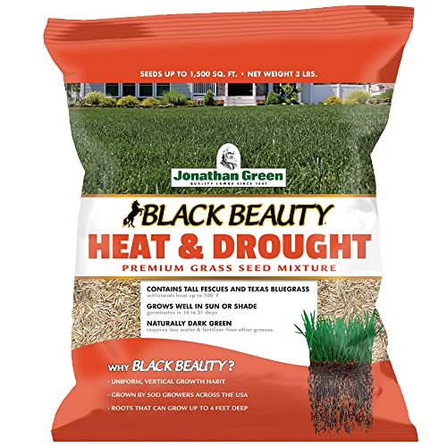 Best Grass Seed for Hawaii