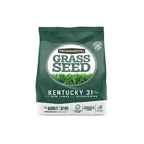 Best Grass Seed for Mississippi