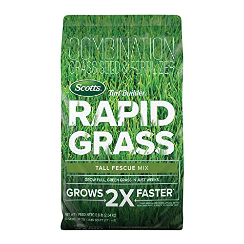 Best Grass Seed for Overseeding in Nj