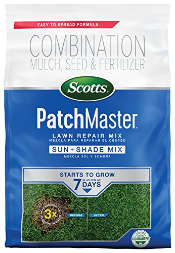 Best Grass Seed for San Diego
