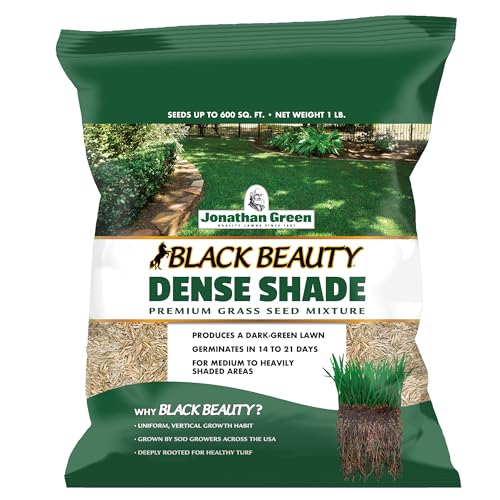 Best Grass Seed for Wet Shady Areas