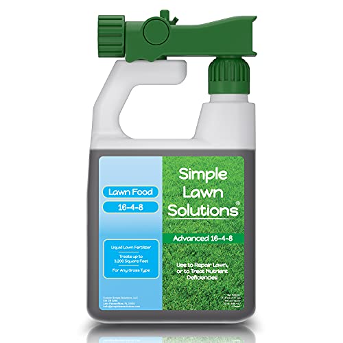 Best Type of Grass for Florida