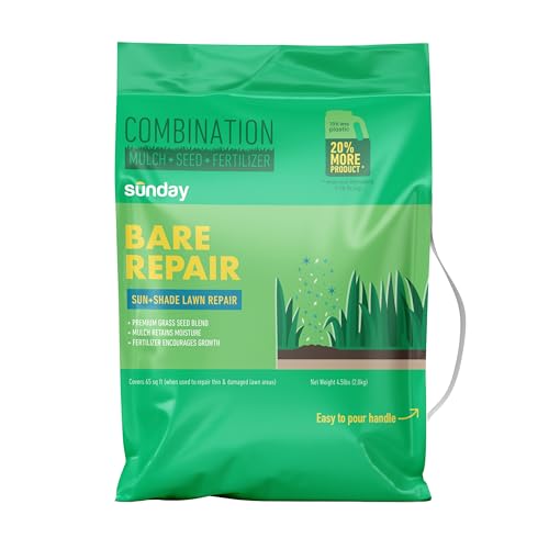 Best Grass for Long Shaded Areas under Trees in Tennessee